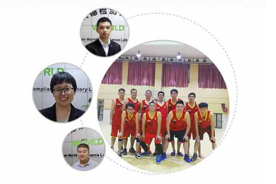 技術團隊