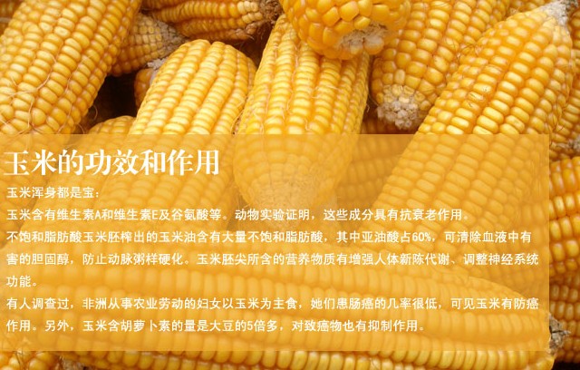 QQ截圖20140225093315.jpg
